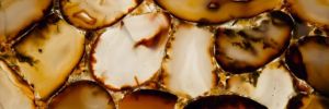 Prexury Carnelian