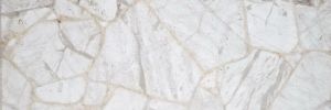 Prexury Classic Quartz
