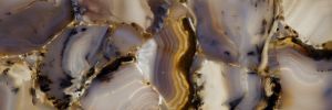 Prexury Wild Agate