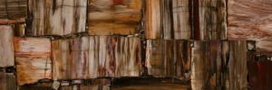 Prexury Retro Petrified Wood